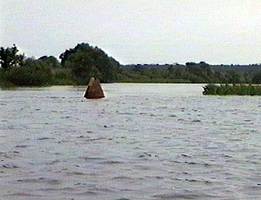Устье реки Свислочь