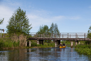 автомобильный мост к д. Отрубок