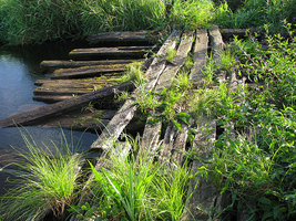 старый полуразрушенный низкий деревянный мост
