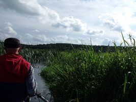 Belarus, river Oslivka