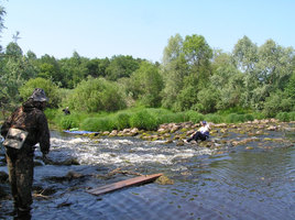 Река Шелонь