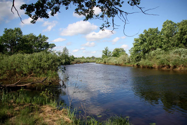 Река возле д. Демидов