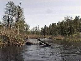 River Svina, Belarus