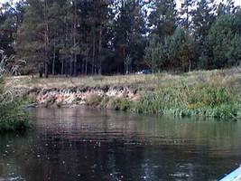Ниже устья Ольшанки